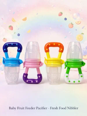 Baby Fruit Feeder Pacifier